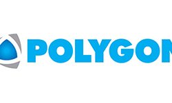 Logo Polygon